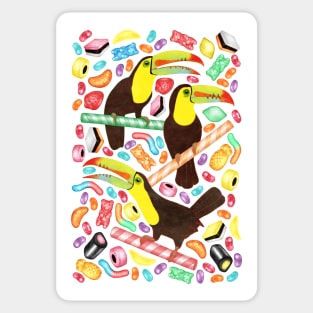 Toucandy - rainbow gummies, jelly beans and licorice surround tropical toucans on candy canes Sticker